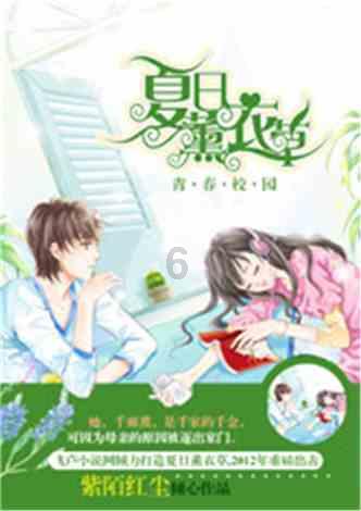 超数码宝贝3.0